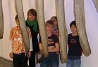 Kinder im Senckenbergmuseum